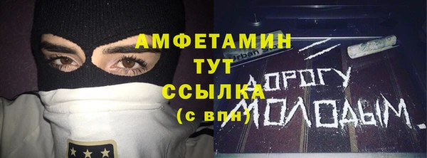 молекула духа Арсеньев