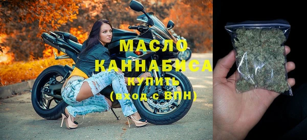 молекула духа Арсеньев