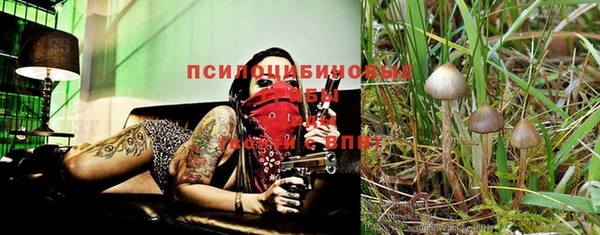 молекула духа Арсеньев