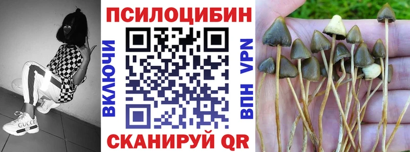 наркотики  Осташков  Галлюциногенные грибы прущие грибы 